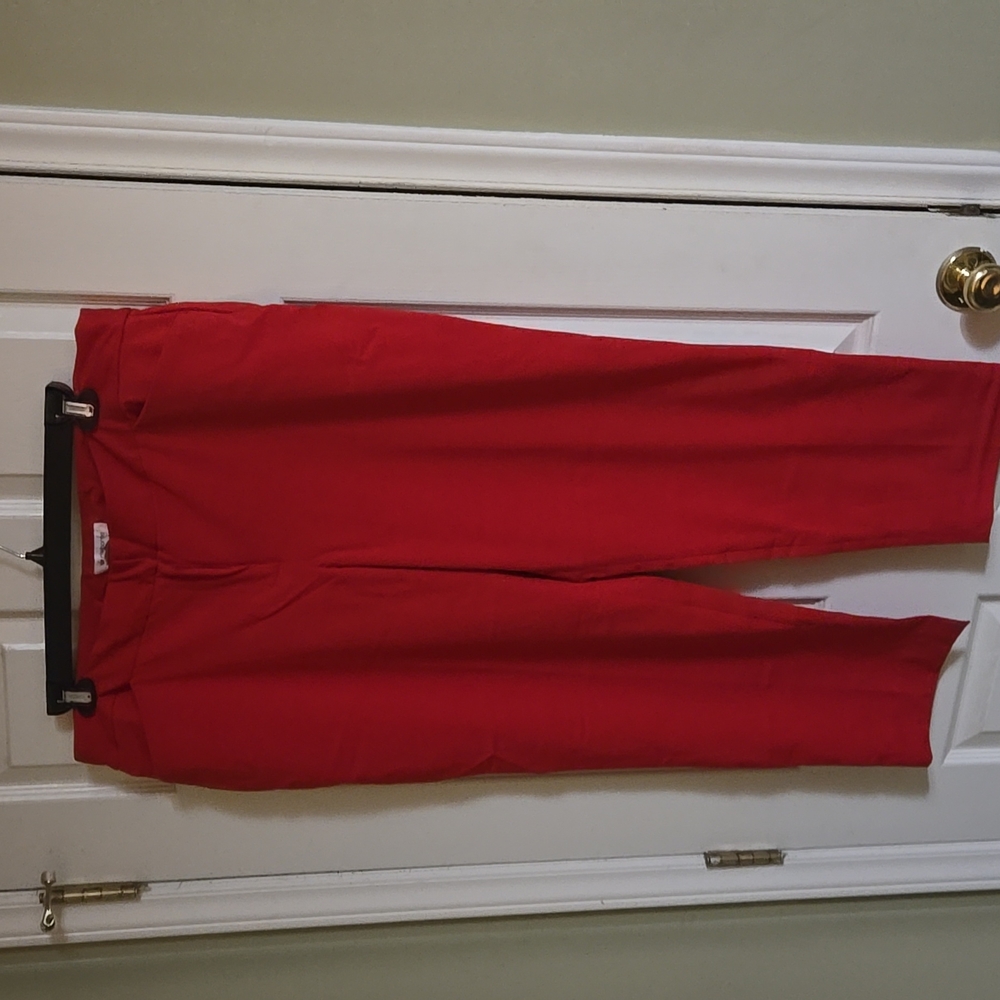GUC pair of size 18 Liz Claiborne pants